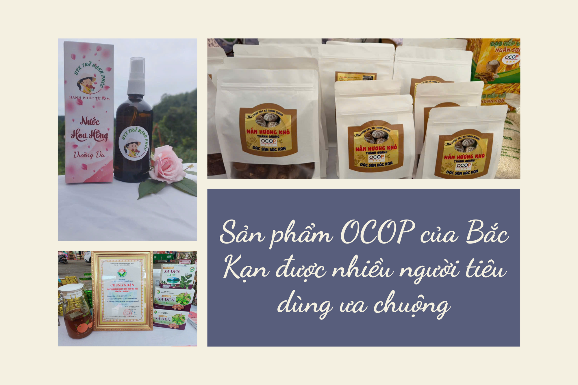 Doanh nghiệp Cắt ghép ảnh Trang in Tím nhạt Vàng Phong cách đơn giản.png