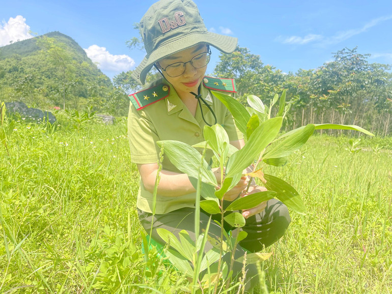 Kiểm lâm địa bàn kiểm tra rừng keo mới trồng tại xã Kim Lư, huyện Na Rì. TKiểm lâm địa bàn kiểm tra rừng keo mới tại xã Kim Lư, huyện Na Rì..jpg