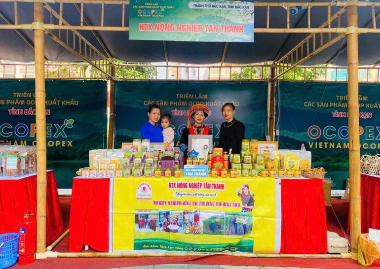 Các sản phẩm nghệ của HTX Nông nghiệp Tân Thành, xã Nông Thượng (TP. Bắc Kạn). t5-cac-san-pham-nghe-cua-htx-nong-nghiep-tan-thanh-xa-nong-thuong-tp-bac-kan.jpg