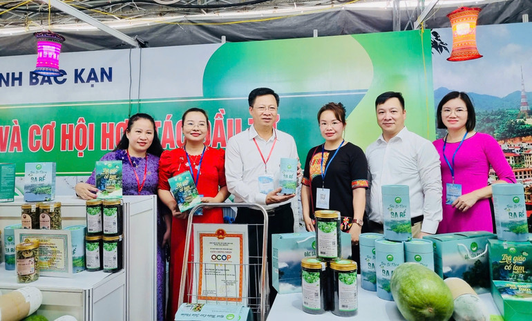 Đoàn công tác tỉnh Bắc Kạn tham gia Hội nghị kết nối cung cầu tại Thành phố Hồ Chí Minh. doan-cong-tac-tinh-bac-kan-tham-gia-hoi-nghi-ket-noi-cung-cau-tai-thanh-pho-ho-chi-minh.jpg