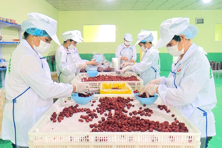 Chế biến nông sản xuất khẩu tại Công ty TNHH Việt Nam MISAKI, Khu công nghiệp Thanh Bình (Chợ Mới). che-bien-nong-san-xuat-khau-tai-cong-ty-tnhh-viet-nam-misaki-khu-cong-nghiep-thanh-binh-cho-moi.jpg