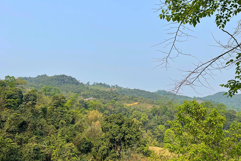 Khu vực Lủng Sao, thuộc thôn Vi Ba, xã Bằng Vân (Ngân Sơn). t4-khu-vuc-lung-sao-thuoc-thon-vi-ba-xa-bang-van-ngan-son.jpg