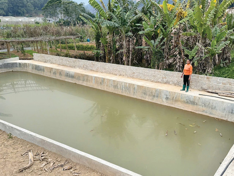 Chị Đồng Thị Lành, thôn Phặc Tràng, xã Dương Quang bên mô hình VAC của gia đình. chi-dong-thi-lanh-thon-phac-trang-xa-duong-quang-ben-mo-hinh-vac-cua-gia-dinh.jpg