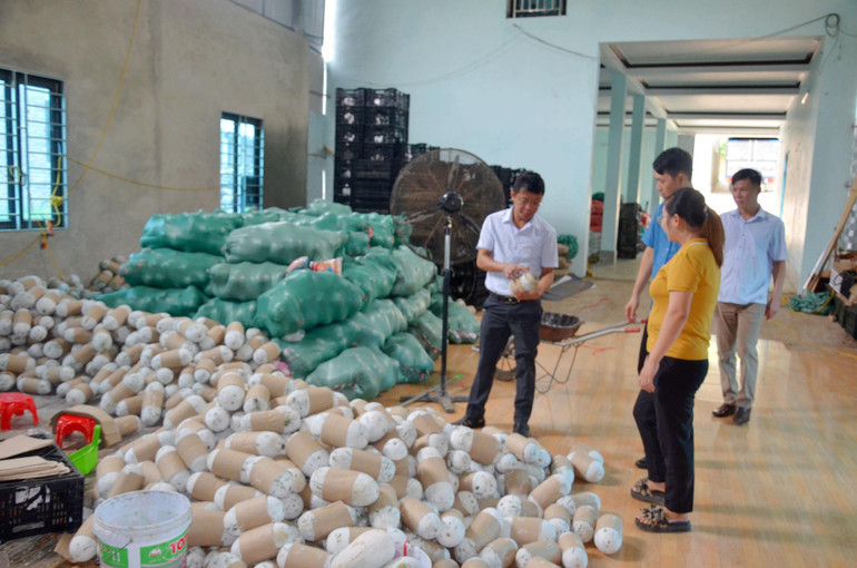 Bí xanh thơm Ba Bể phân phối đi nhiều tỉnh, thành phố trong cả nước. Bí xanh thơm Ba Bể phân phối đi nhiều tỉnh, thành phố trong cả nước.jpg