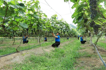 Đảng bộ huyện Chợ Mới phát huy tốt vai trò lãnh đạo toàn diện 