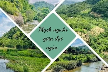 Ghi chép: Mạch nguồn giữa đại ngàn