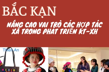 Bắc Kạn nâng cao vai trò các hợp tác xã 