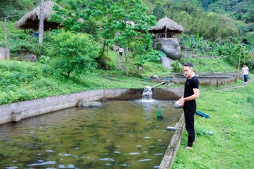 Đặng Hành Dũng và khát vọng làm giàu trên đỉnh Pù Lầu