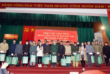 Thứ trưởng, Phó Chủ nhiệm Ủy ban Dân tộc Nông Thị Hà thăm và tặng quà Tết tại Bắc Kạn