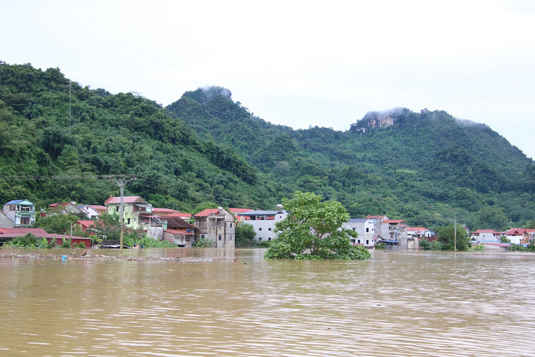 215 hộ dân ở Nam Cường phải di dời khẩn cấp do ngập nước. IMG_1685.JPG