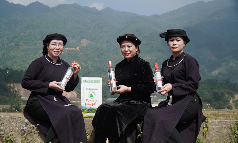 Rượu mem lá Bằng Phúc - hương vị của núi rừng. img-7911.jpg