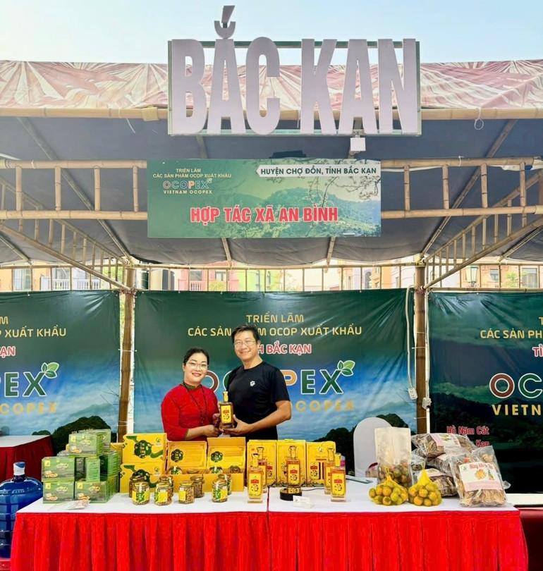 HTX An Bình (xã Ngọc Phái) hiện có 3 sản phẩm OCOP 3 sao, trong đó có 02 sản phẩm trà hoa vàng đó là trà hoa vàng An Bình và trà hoa vàng túi lọc An Bình. img-7927.jpg