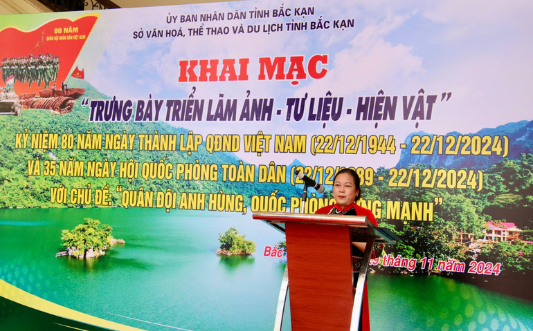 Bà Hoàng Thị Dung, Phó Giám đốc Sở Văn hoá, Thể thao và Du lịch phát biểu khai mạc. img-7677.jpg