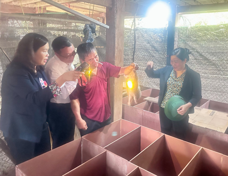 Đoàn giám sát khảo sát mô hình nuôi dúi thuộc Chương trình hỗ trợ phát triển sản xuất cộng đồng tại thôn Khuổi Huân, xã Yên Phong. img-2790.jpg