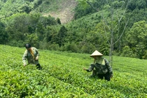 Na Rì vững bước trên con đường phát triển cùng đất nước