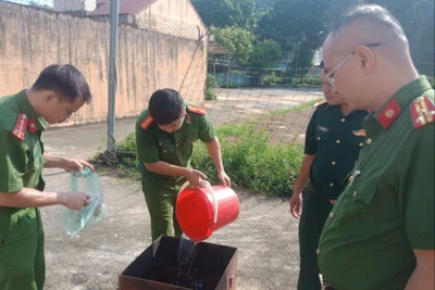 Công an huyện Bạch Thông tổ chức tiêu hủy vũ khí, vật liệu nổ, công cụ hỗ trợ và pháo