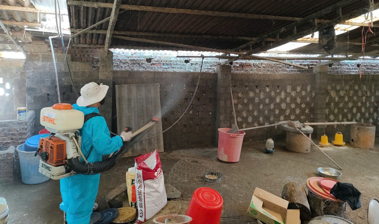 Phun thuốc diệt muỗi ngăn ngừa bệnh sốt rét z6539033949124-7af8a44449ca1563413f28529dc08f5f.jpg