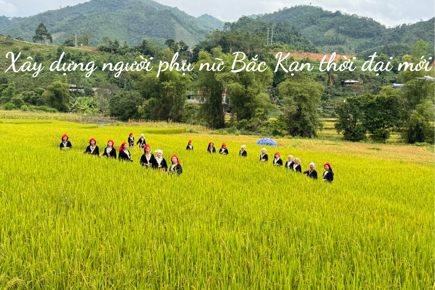them-tieu-de-phu-2-2138.png