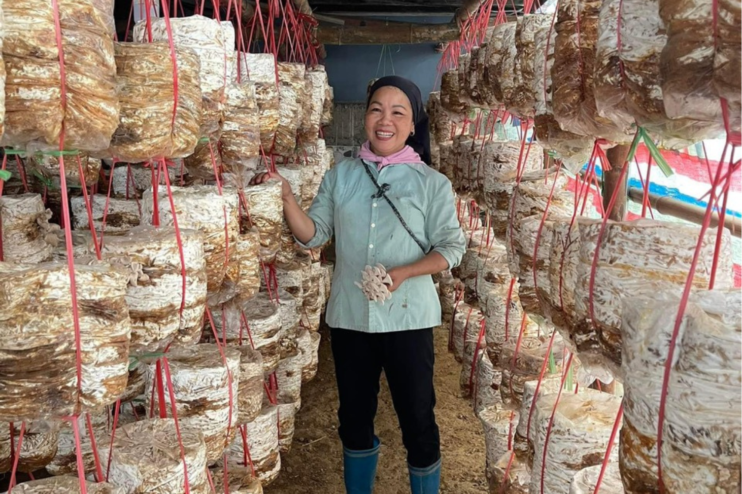 Thiết kế chưa có tên (10).png