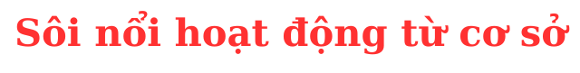 bin 2.png