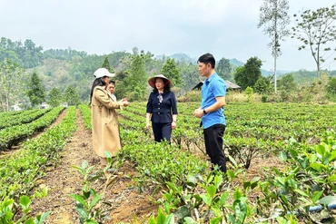 Giám sát việc triển khai thực hiện Chương trình MTQG tại Chu Hương