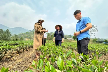 Nhìn lại Chương trình MTQG phát triển kinh tế - xã hội ở một số địa phương: Kỳ 1 - Những kết quả đạt được 