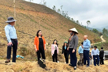 HĐND tỉnh giám sát việc thực hiện liên kết sản xuất theo chuỗi giá trị tại Bằng Thành