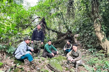Thanh toán tiền hỗ trợ bảo vệ rừng ở Phương Viên cần bảo đảm quy định