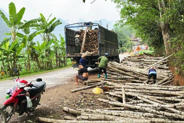 Chương trình phát triển lâm nghiệp bền vững tỉnh Bắc Kạn - Kỳ 1: Hiệu quả thiết thực từ chương trình