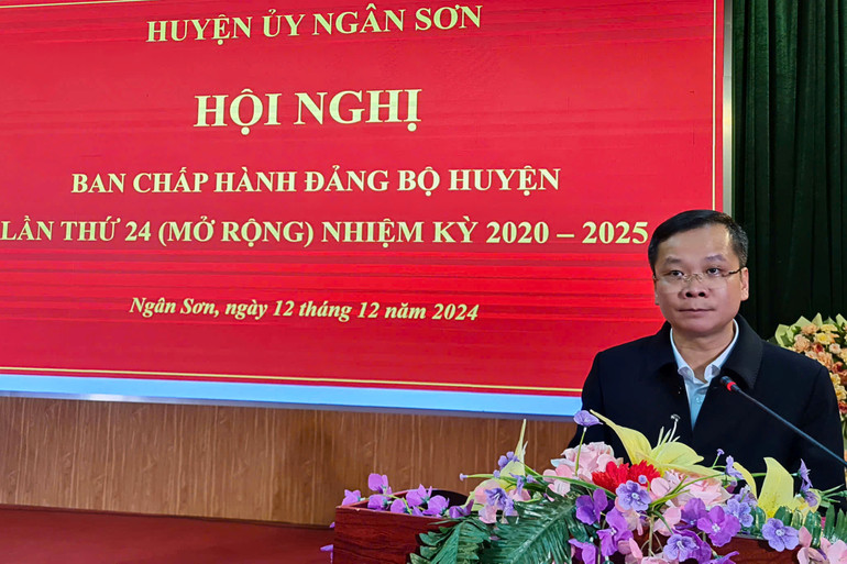 Đồng chí Nông Bình Cương, Tỉnh ủy viên, Bí thư Huyện ủy phát biểu tại hội nghị. 1.jpg