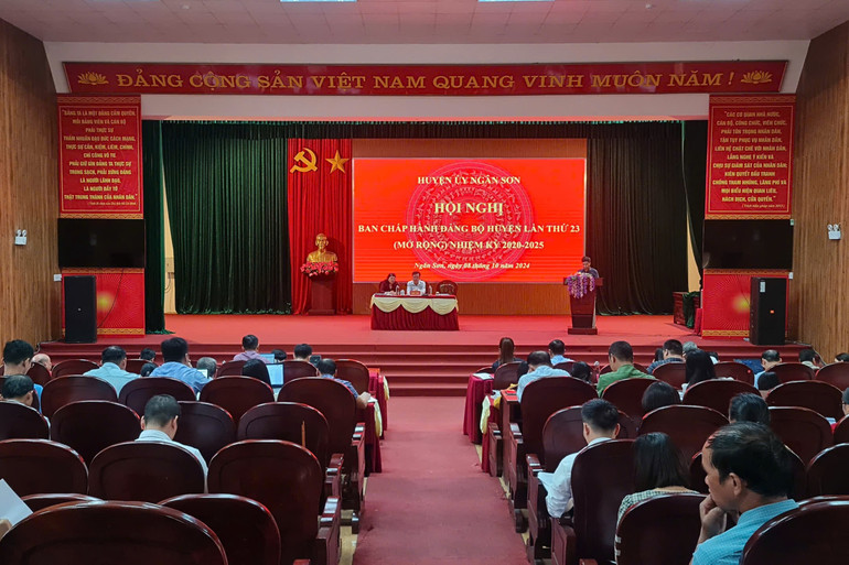 Quang cảnh hội nghị. 11-4471.jpg