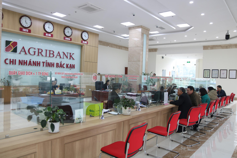 Khách hàng giao dịch tại Agribank Chi nhánh tỉnh. img-5513.jpg