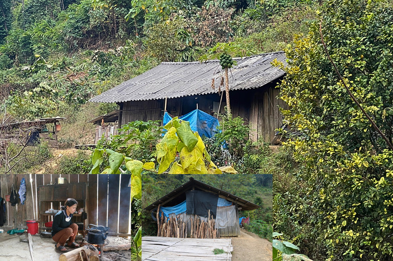 Nhà anh chị Hòa Phương ở lưng đồi, trong nhà không có vật dụng gì đáng giá. 2.jpg