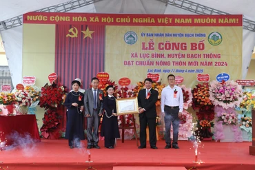 Xã Lục Bình vui đón bằng công nhận đạt chuẩn nông thôn mới
