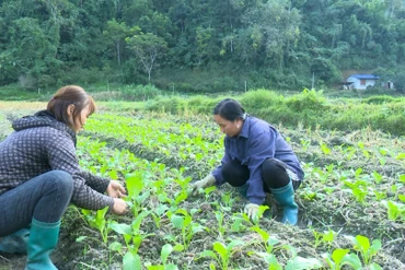 Đẩy nhanh tiến độ Chương trình MTQG giảm nghèo bền vững