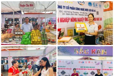 Tăng sức hút cho sản phẩm OCOP