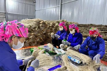 Mở rộng "cánh cửa" thị trường OCOP