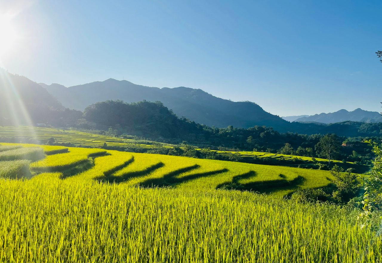 Những chân ruộng sóng vàng tựa như dải lụa trải dài từ đỉnh núi xuống bản làng. dem-hen.jpg