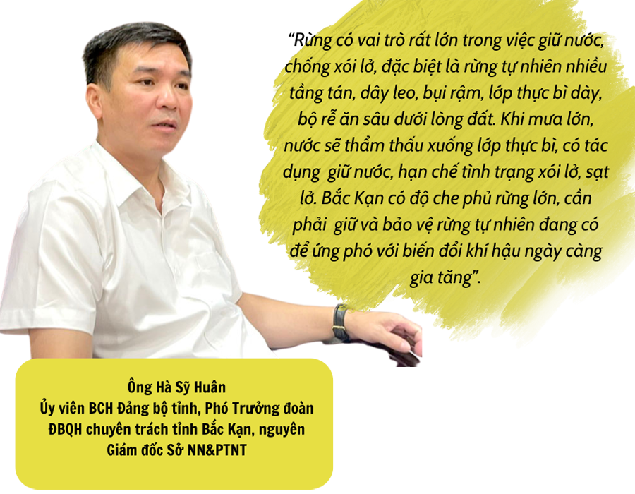 sua-10-6151-7.png