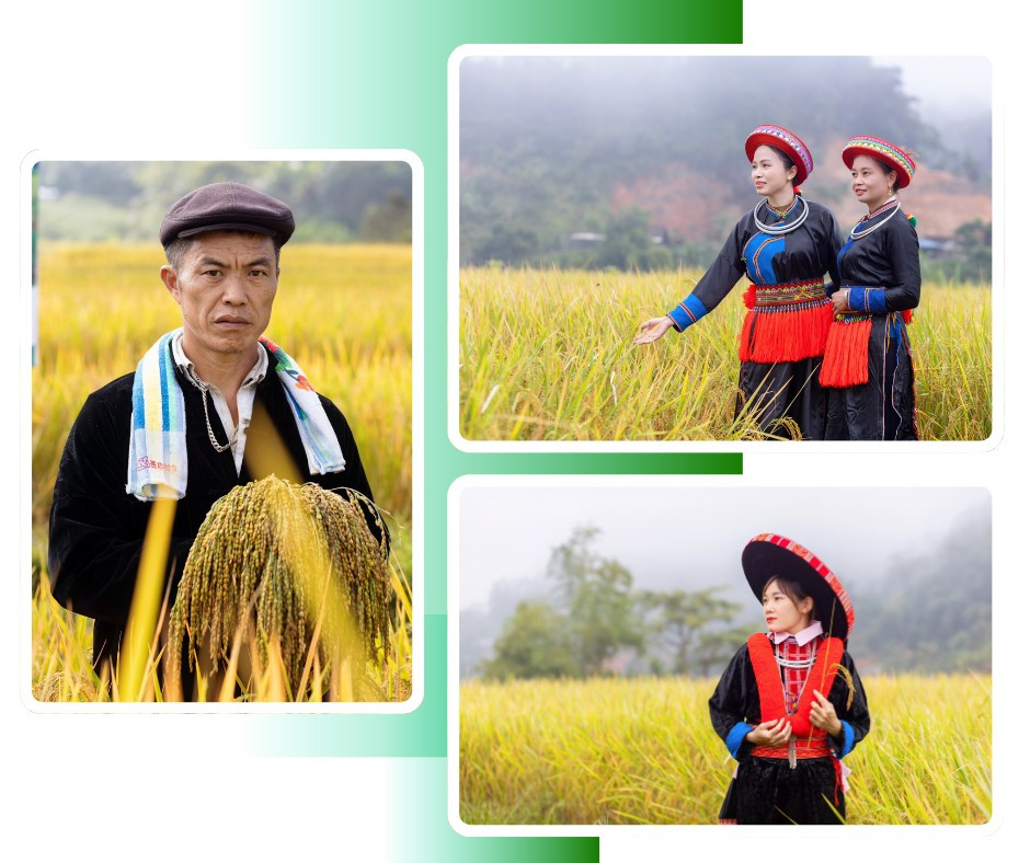 Người dân Pác Phai làm mẫu ảnh. pac-phai.png