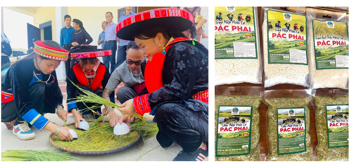 Các sản phẩm nông nghiệp của địa phương. gao-1.png
