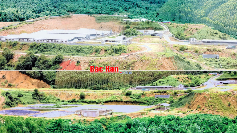Quang cảnh trại lợn tại khu vực Nà Ó. 6.jpg