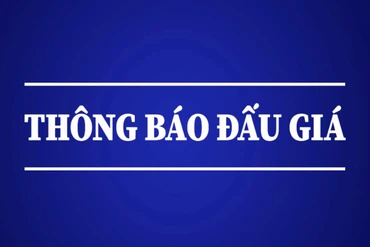 Thông báo đấu giá quyền khai thác khoáng sản đối với khu vực đất sét Khuân Bang