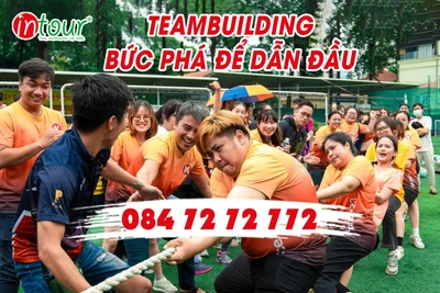 Teambuilding và Intour Travel – Sự kết hợp hoàn hảo cho những chuyến đi gắn kết tập thể