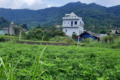 Bằng Phúc in dấu chân Người