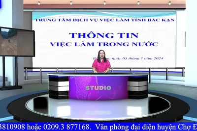 Chương trình giới thiệu việc làm số ngày 05/7/2024