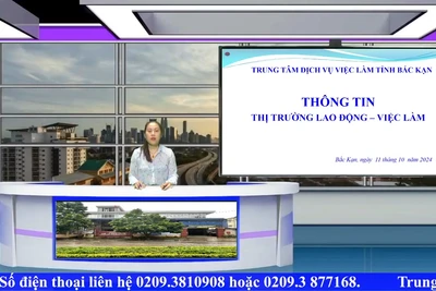 Chương trình giới thiệu việc làm ngày 11/10/2024