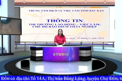 Chương trình giới thiệu việc làm ngày 16/8/2024