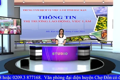 Chương trình giới thiệu việc làm ngày 21/8/2024