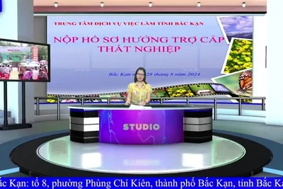 Chương trình giới thiệu việc làm ngày 28/8/2024